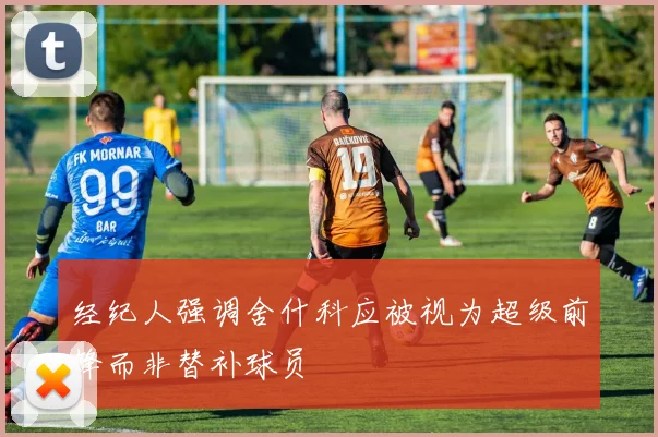 经纪人强调舍什科应被视为超级前锋而非替补球员
