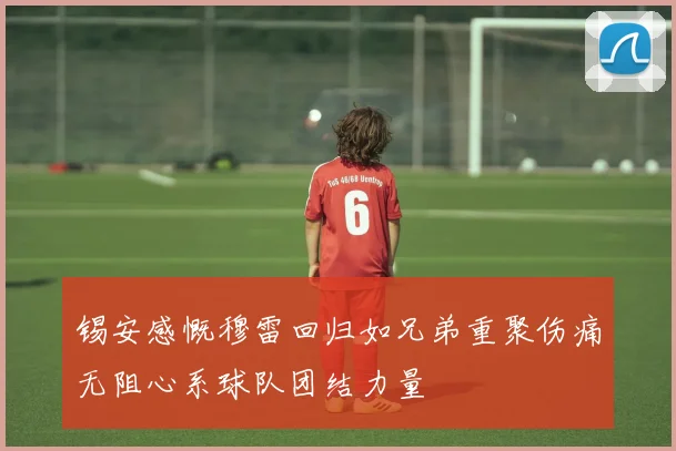锡安感慨穆雷回归如兄弟重聚伤痛无阻心系球队团结力量